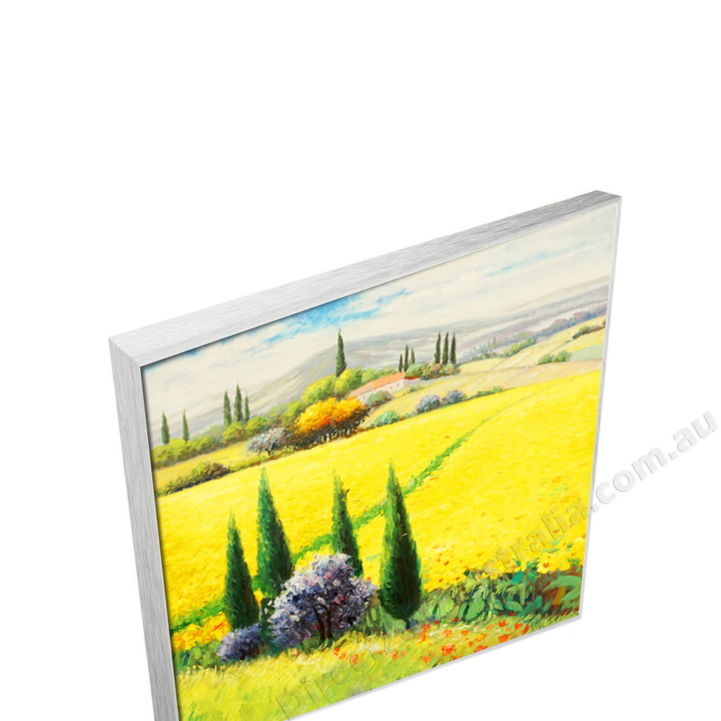 Silver Floating Frame
