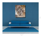 Indigo Gold on the wall
