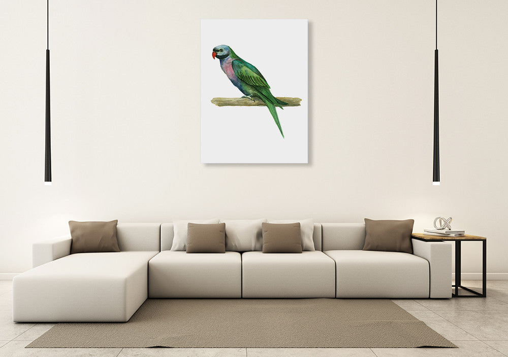 Bird IV Wall Art Print on the wall
