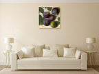 Figues Wall Art Print on the wall