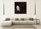 Owl Wall Art Print on the wall