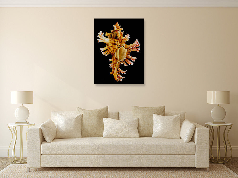 Rose Branch Murex Wall Art Print on the wall
