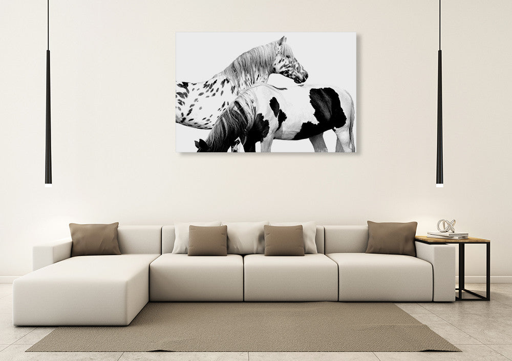 Spotted and Pinto Wall Art Print on the wall