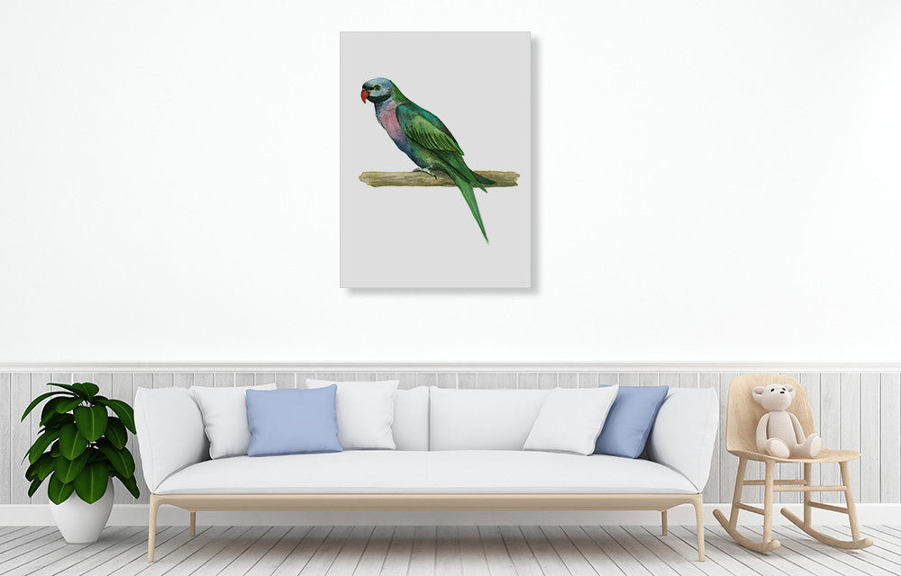 Bird IV Wall Art Print on the wall