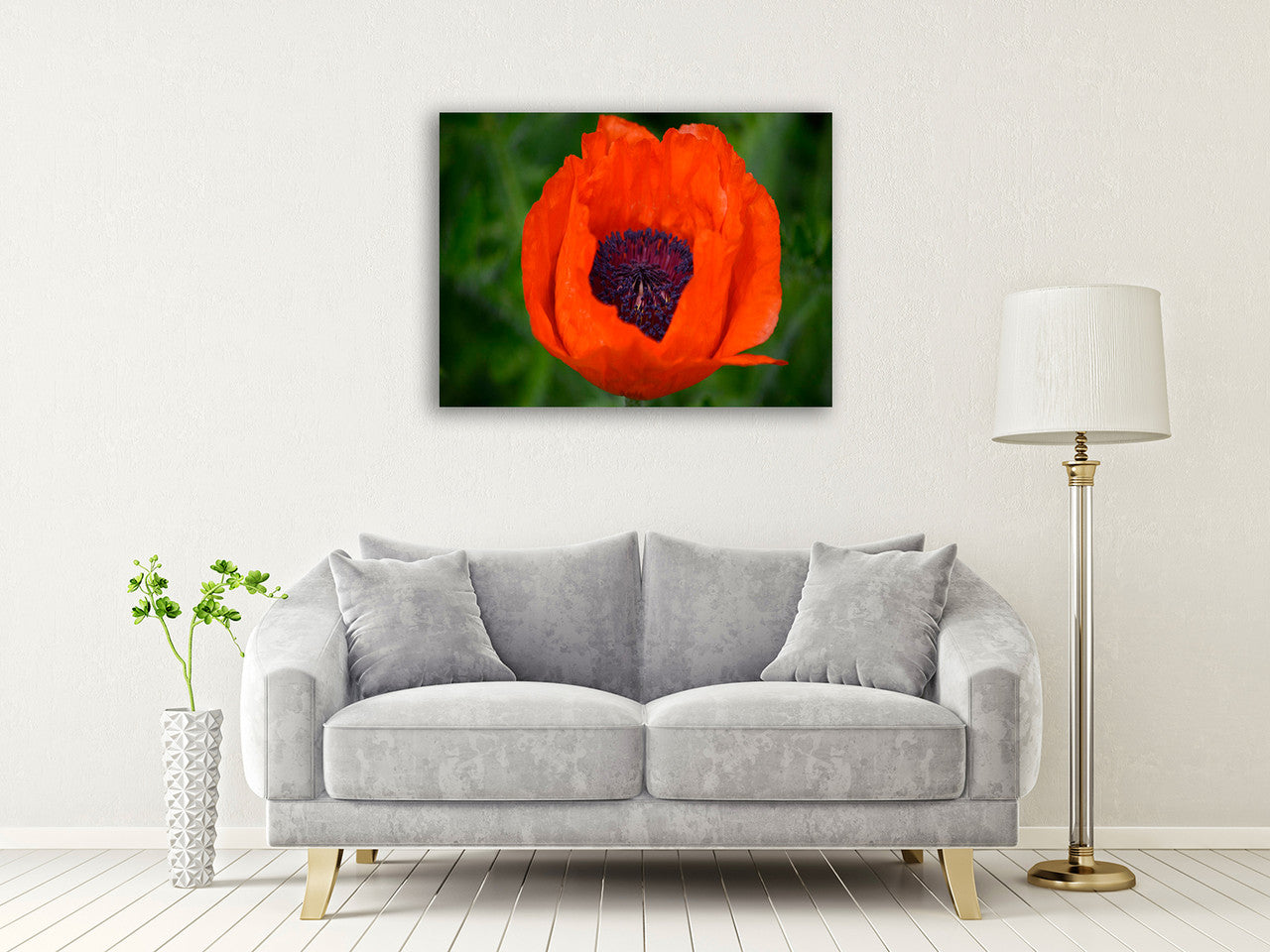 Orange Poppy Wall Art Print on the wall