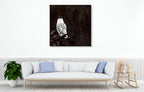 Owl Wall Art Print on the wall