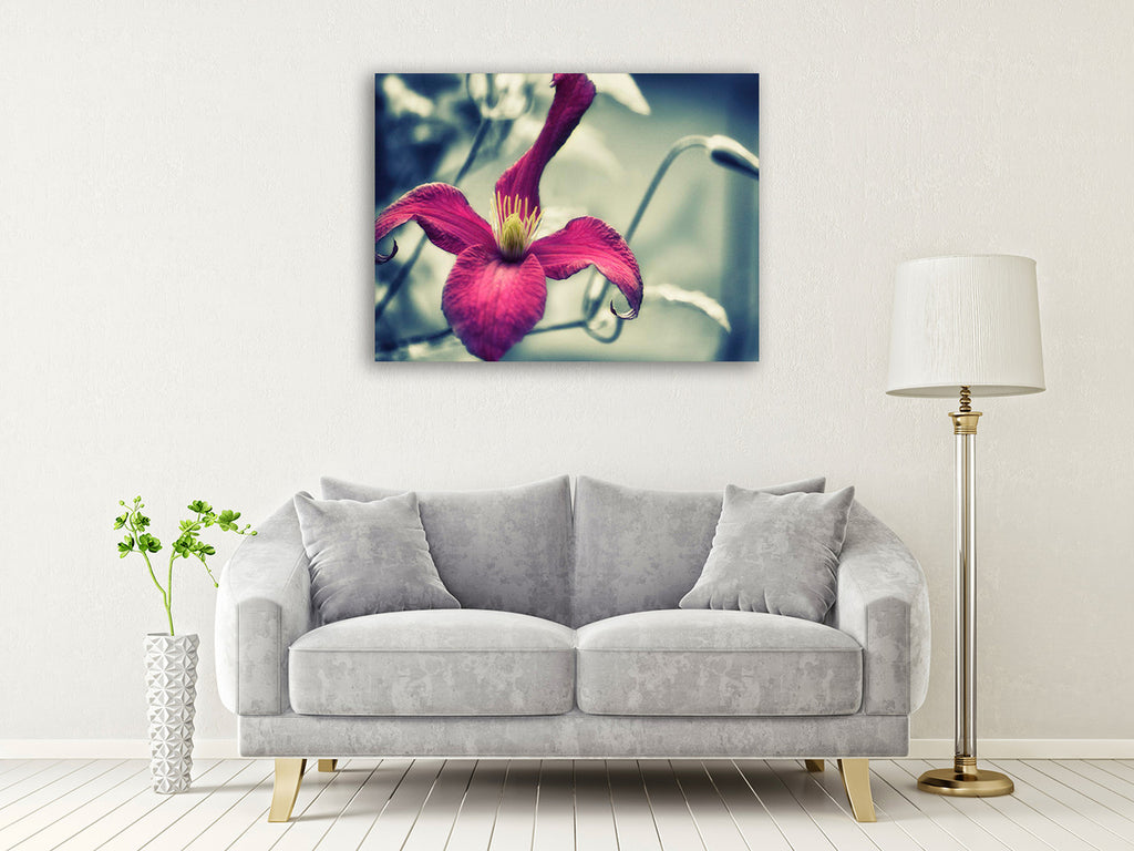 Pink Clematis Wall Art Print on the wall