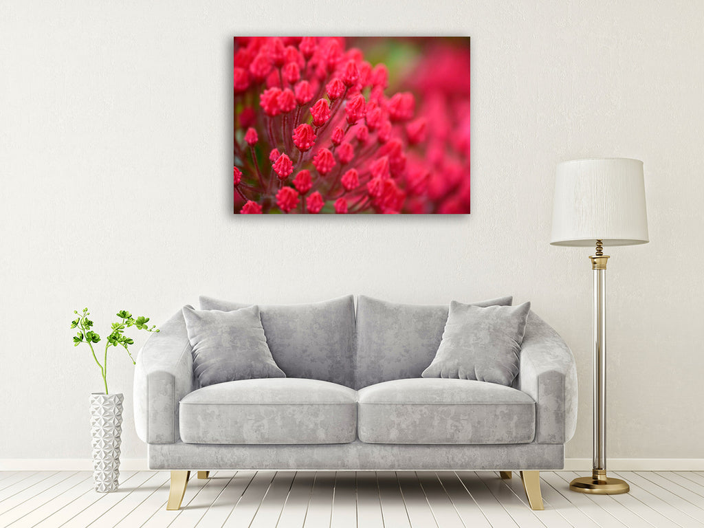 Pink Flower Wall Art Print on the wall