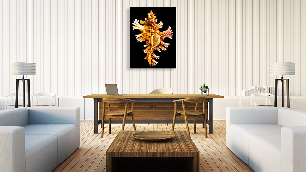 Rose Branch Murex Wall Art Print on the wall