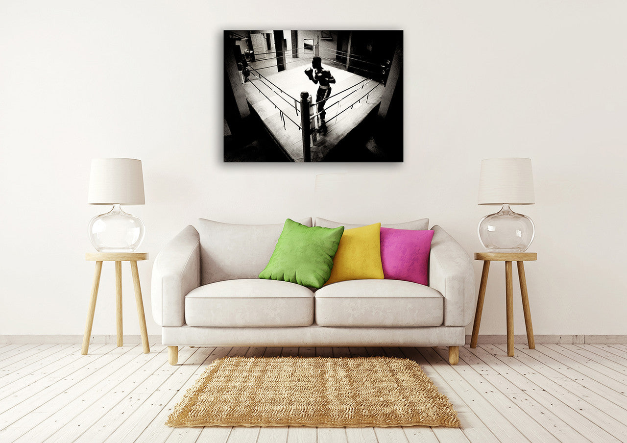 Shadow Boxer Wall Art Print on the wall