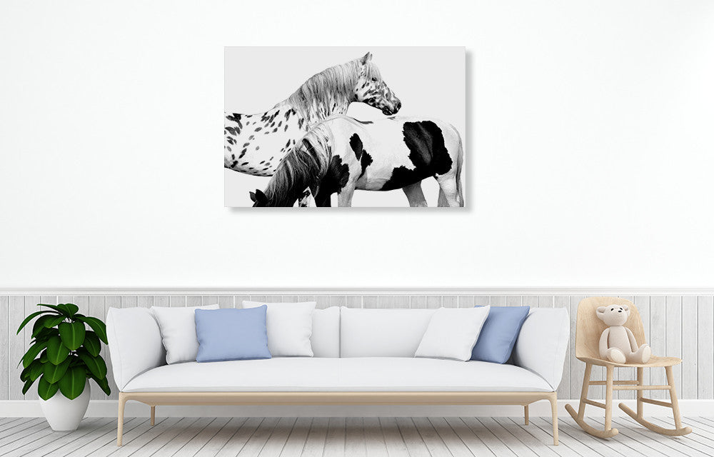 Spotted and Pinto Wall Art Print on the wall