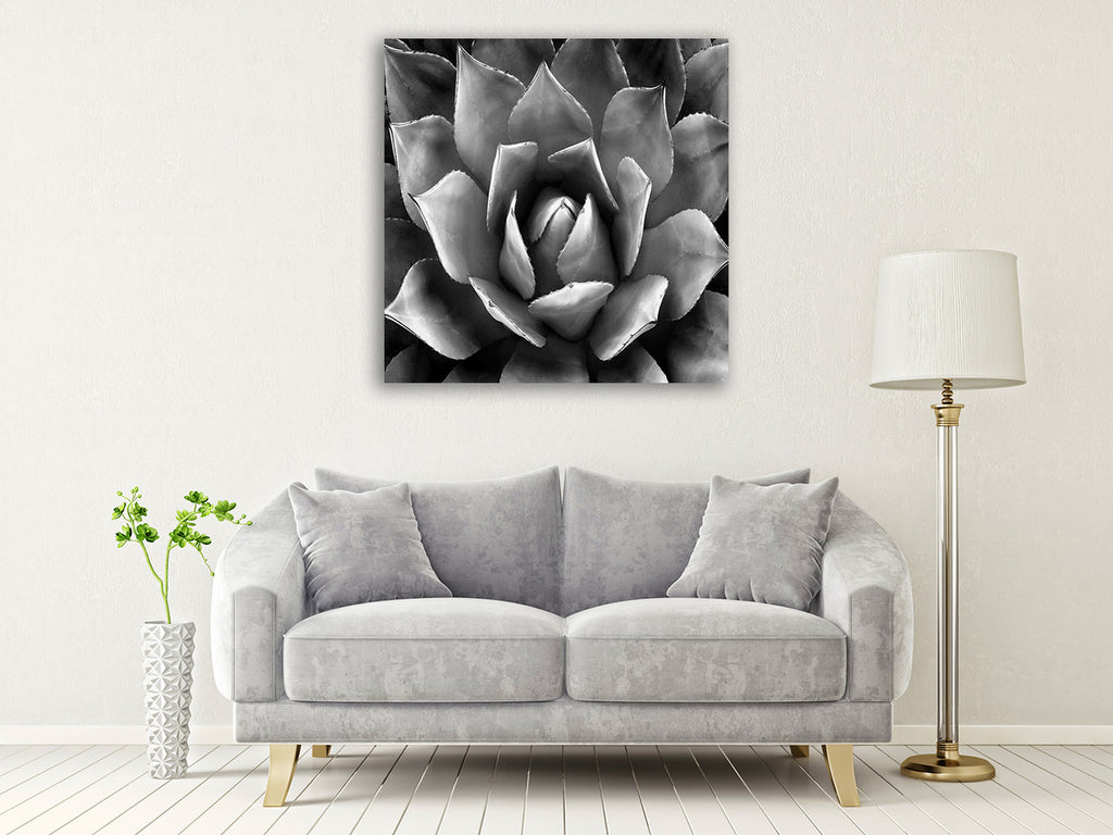 Succulent II Wall Art Print on the wall
