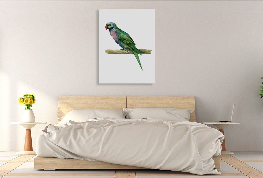 Bird IV Wall Art Print on the wall