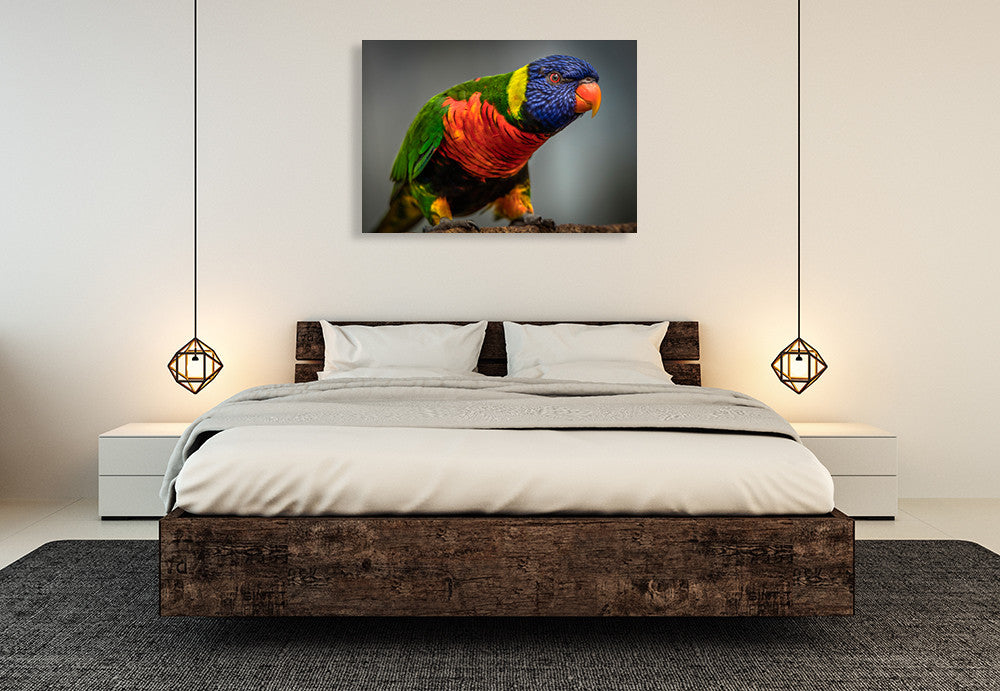 Green Bird Wall Art Print on the wall