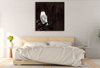 Owl Wall Art Print on the wall