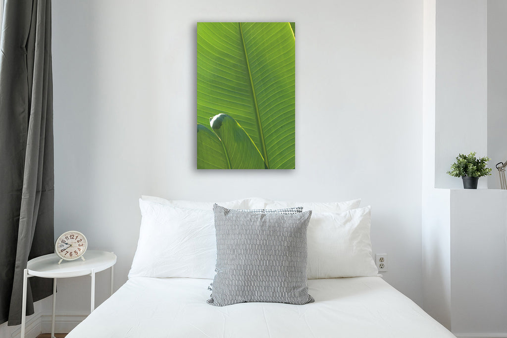 Palm Detail III Wall Art Print on the wall