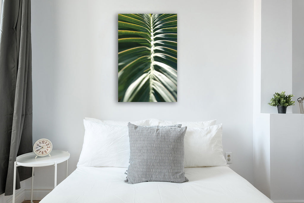 Palm Detail II Wall Art Print on  the wall
