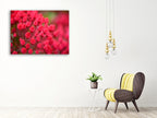Pink Flower Wall Art Print on the wall