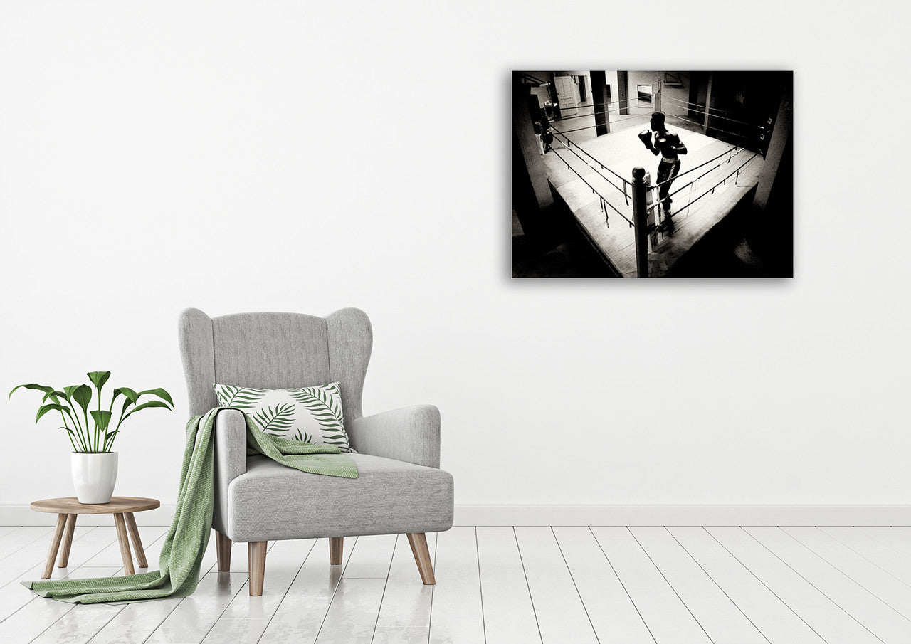 Shadow Boxer Wall Art Print on the wall