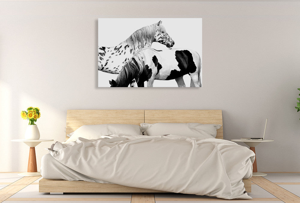 Spotted and Pinto Wall Art Print on the wall