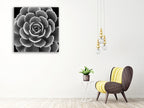Succulent IV Wall Art Print on the wall