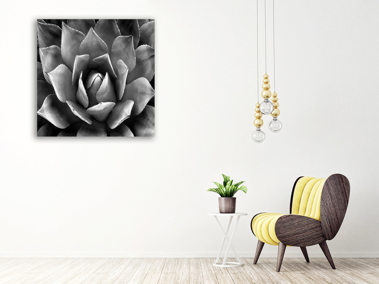 Succulent II Wall Art Print on the wall