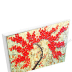 White Floating Frame