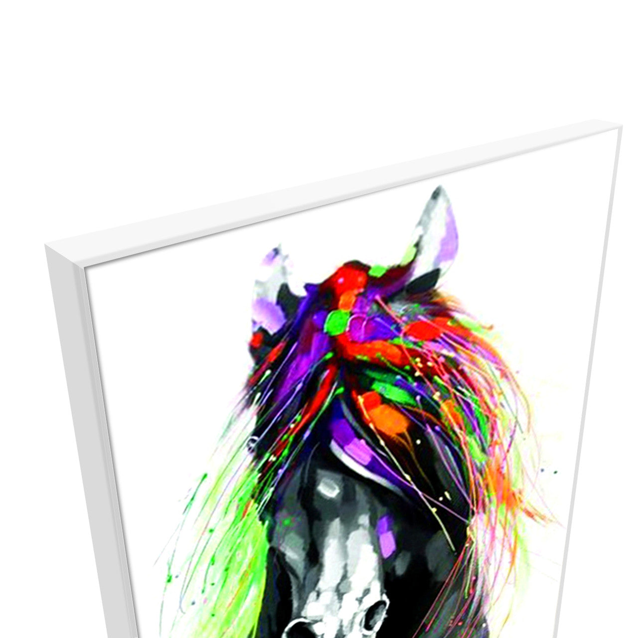 Colorful Horse
