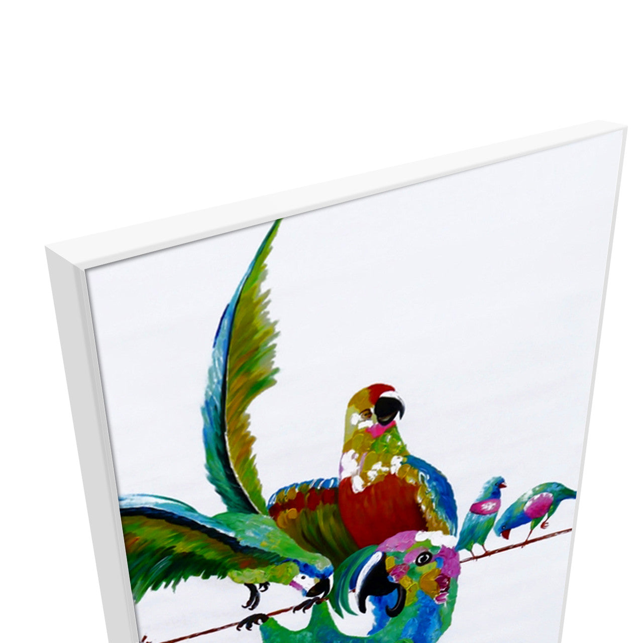 Playful Birds