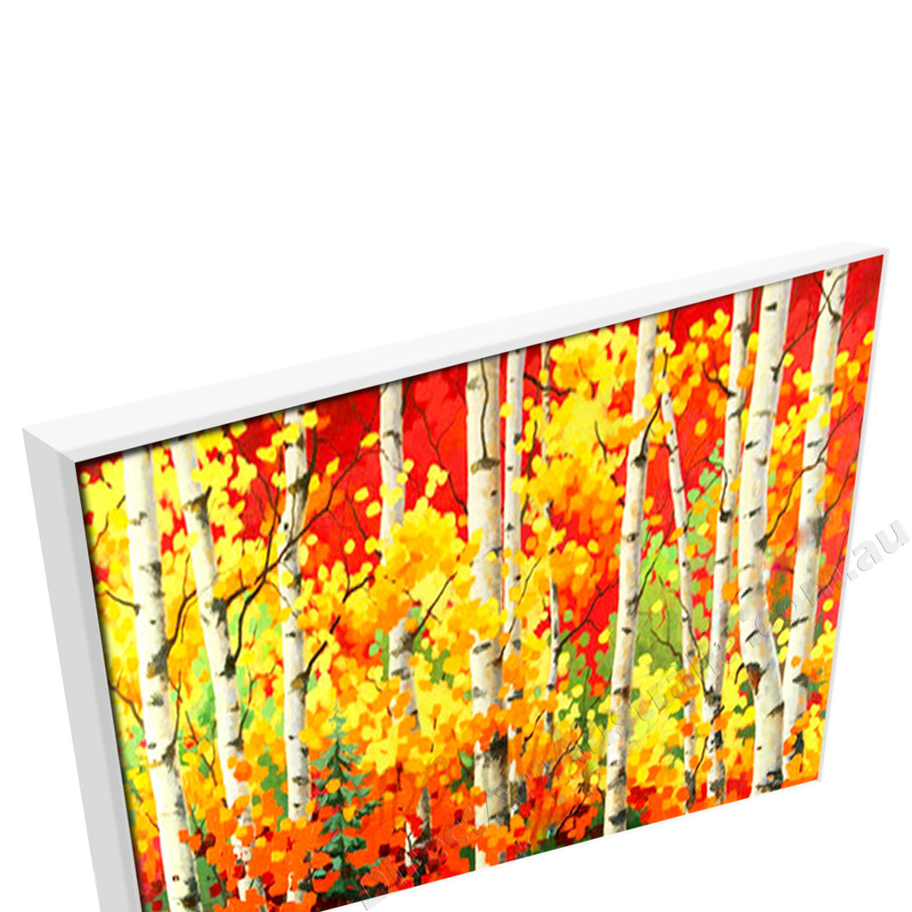 White Floating Frame