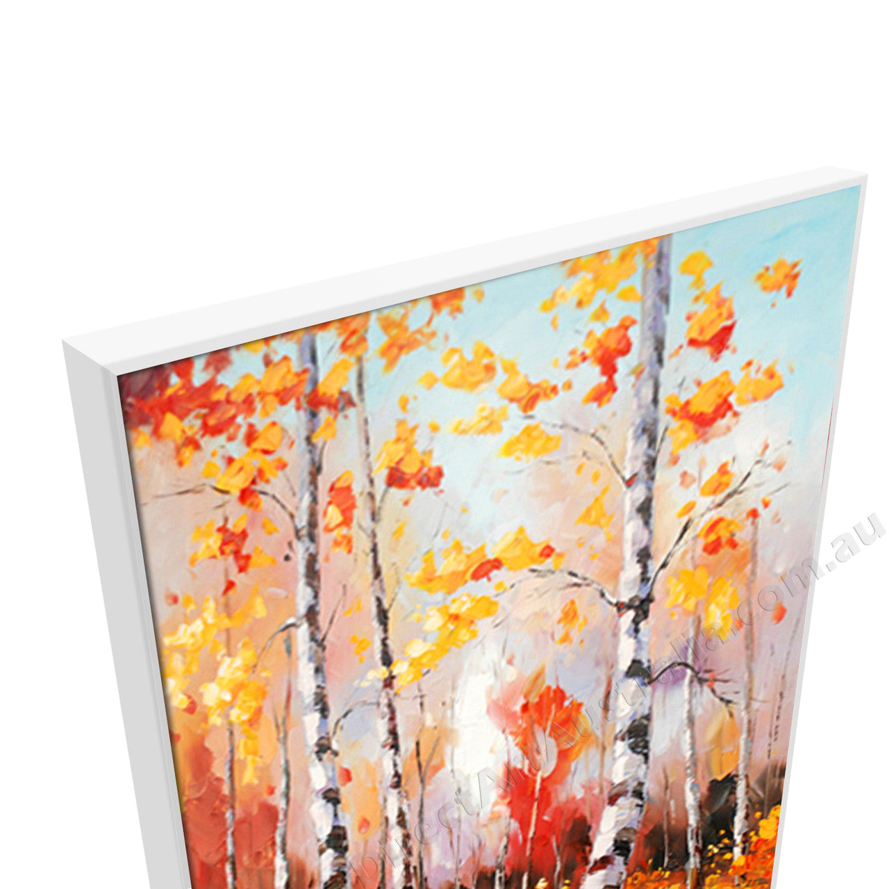 White Floating Frame