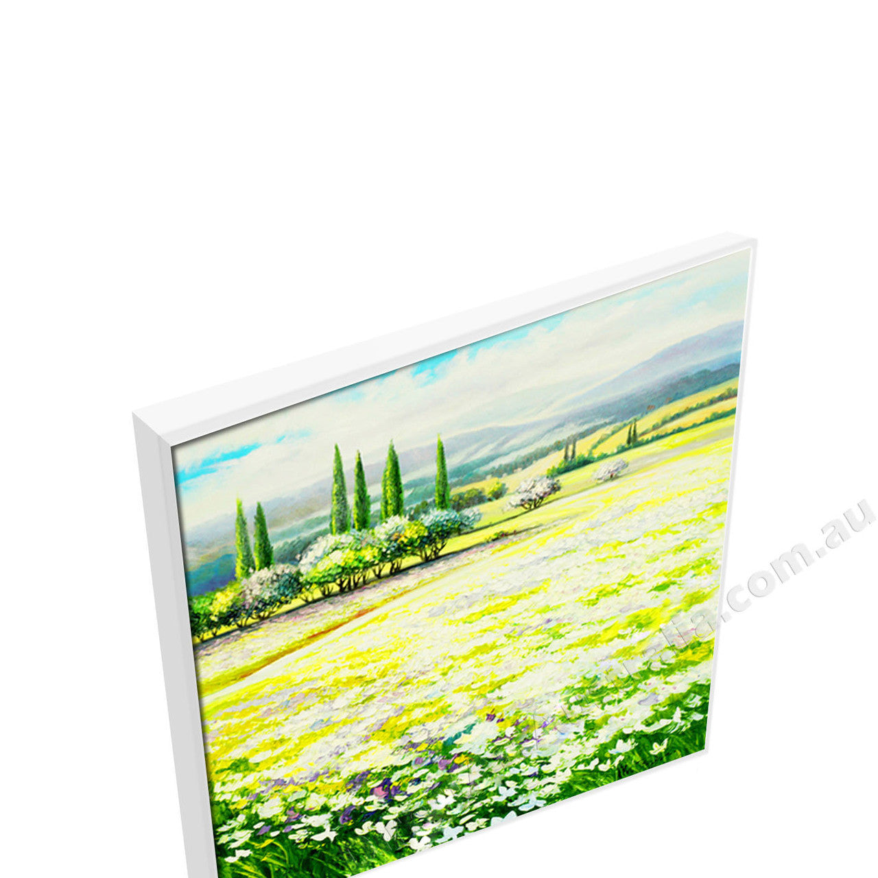 White Floating Frame