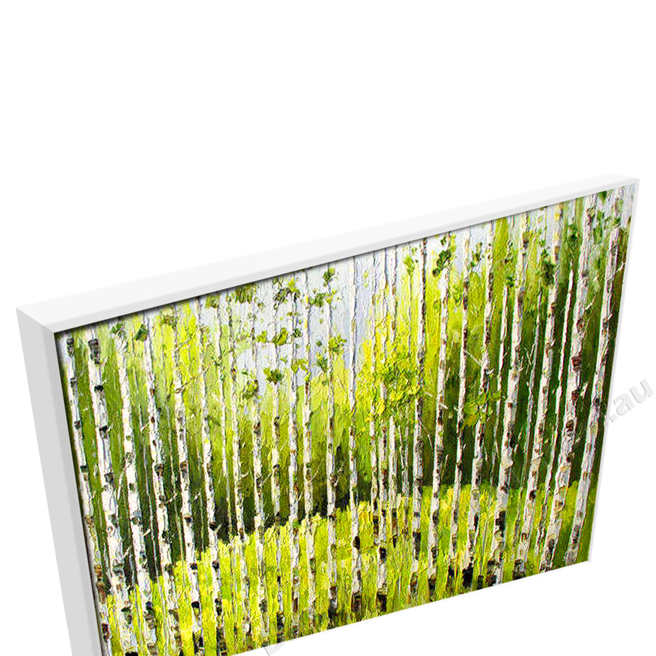 White Floating Frame