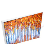 White Floating Frame