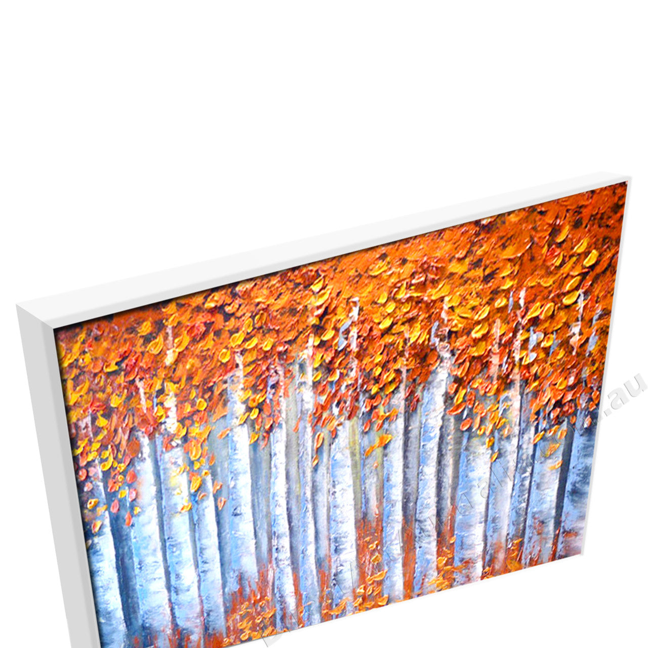 White Floating Frame