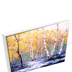 White Floating Frame