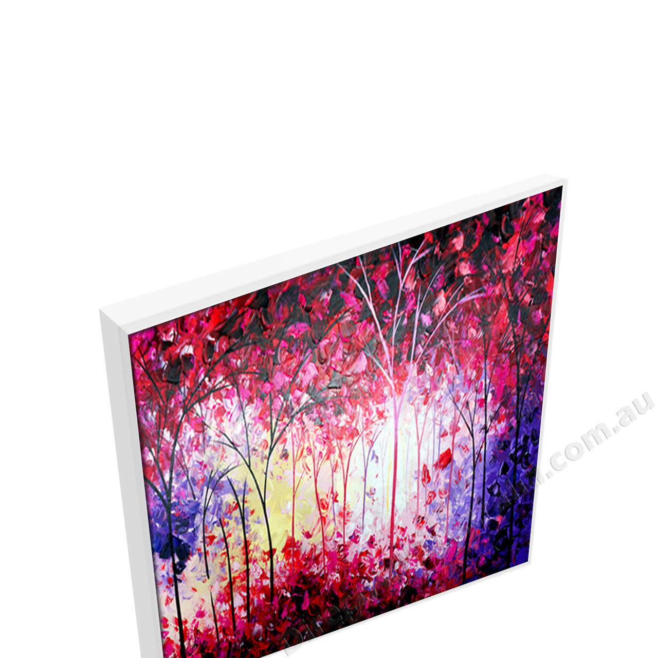 White Floating Frame
