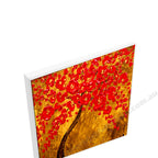 White Floating Frame