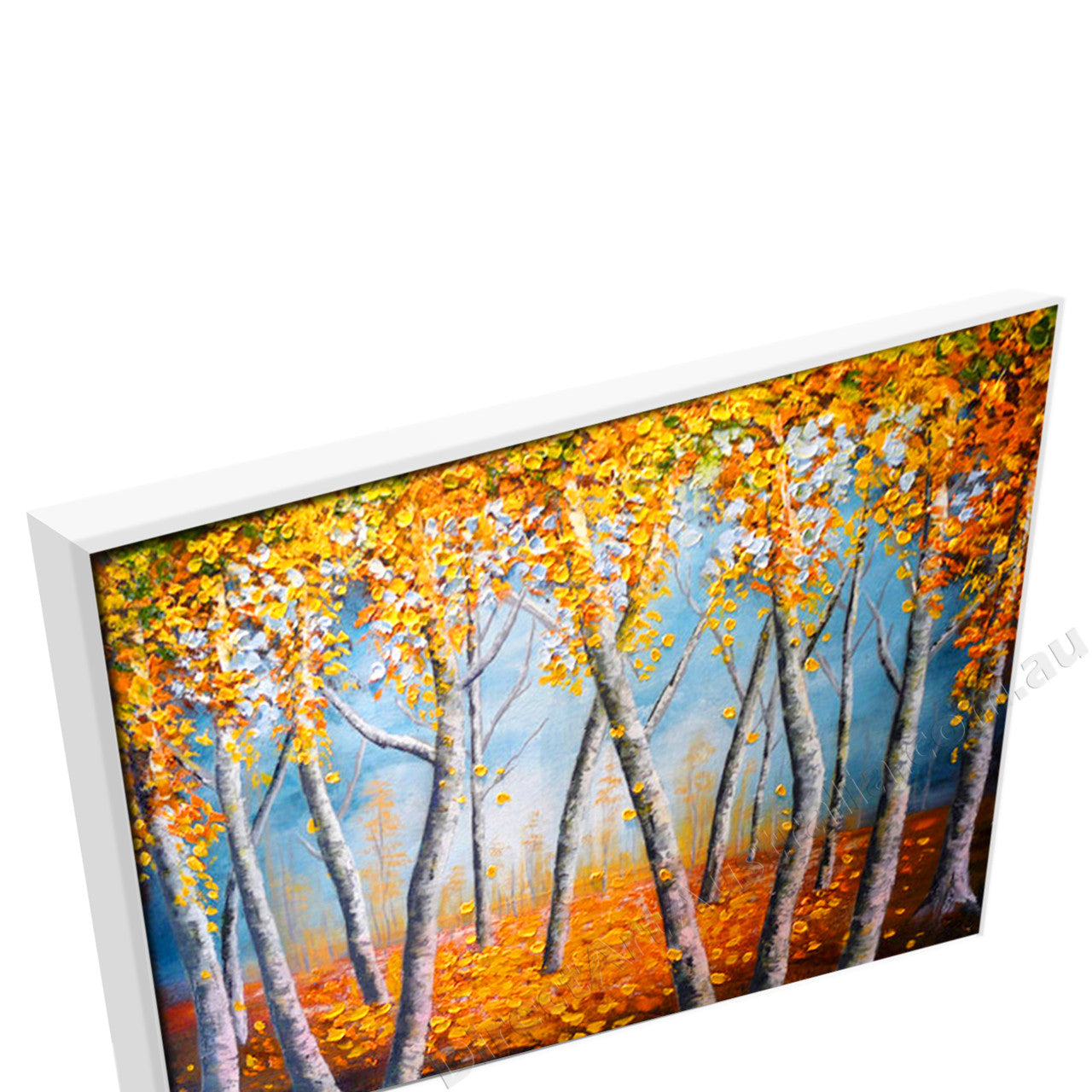 White Floating Frame