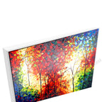White Floating Frame