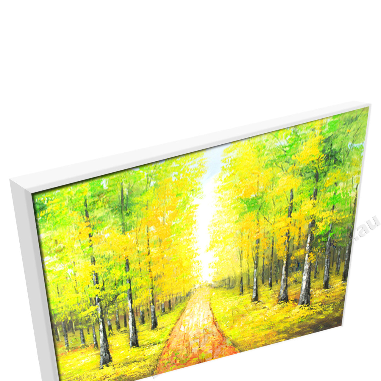 White Floating Frame