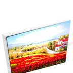 White Floating Frame