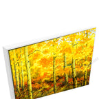 White Floating Frame