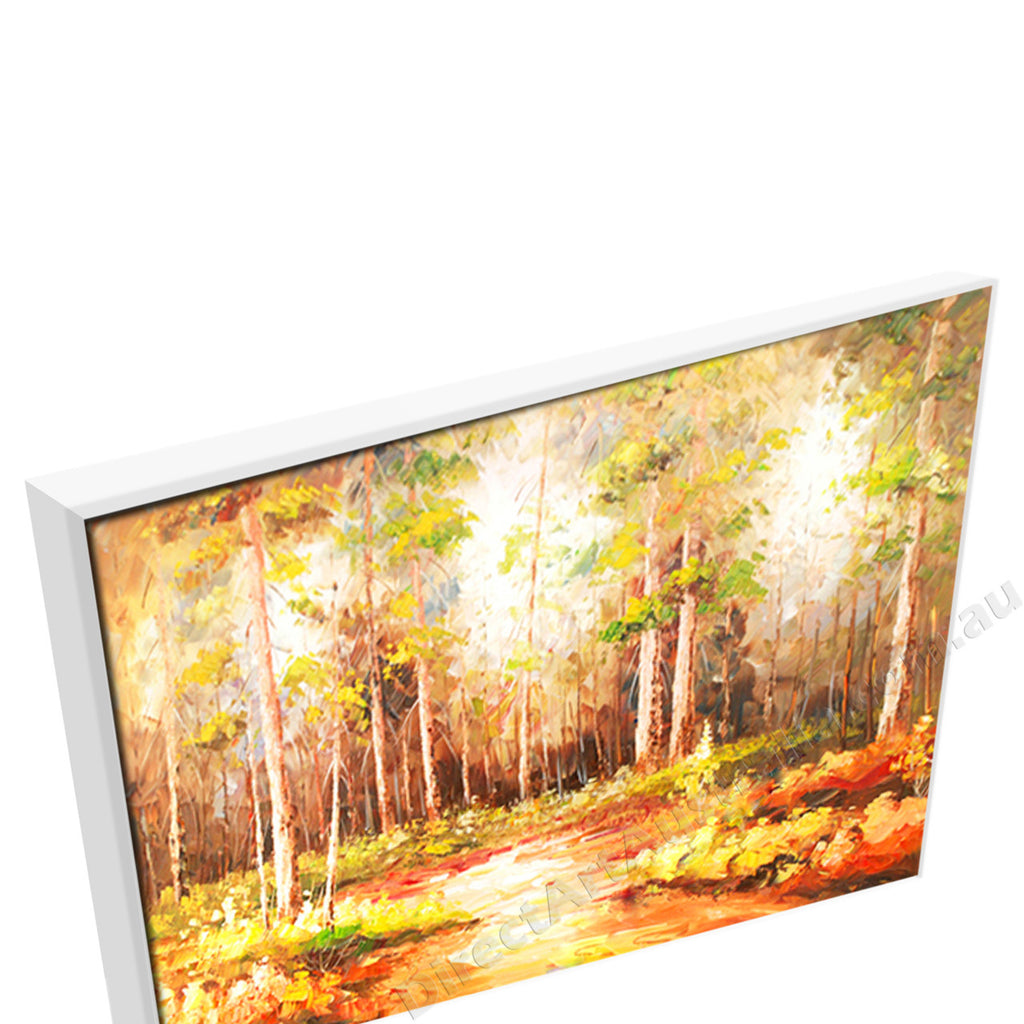 White Floating Frame