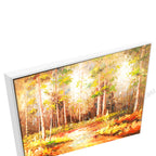 White Floating Frame