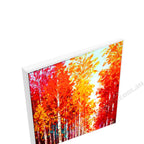 White Floating Frame