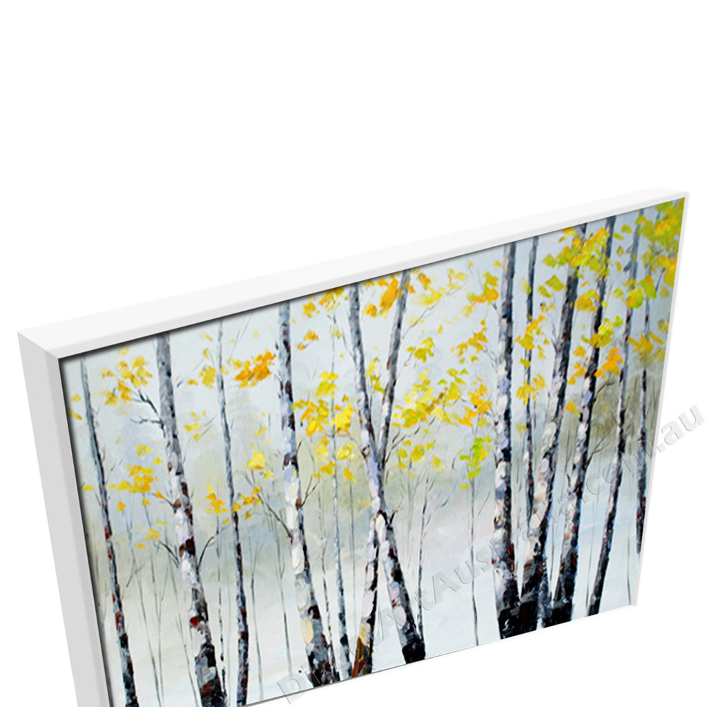 White Floating Frame