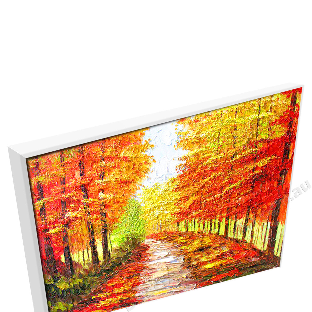 White Floating Frame