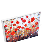 White Floating Frame