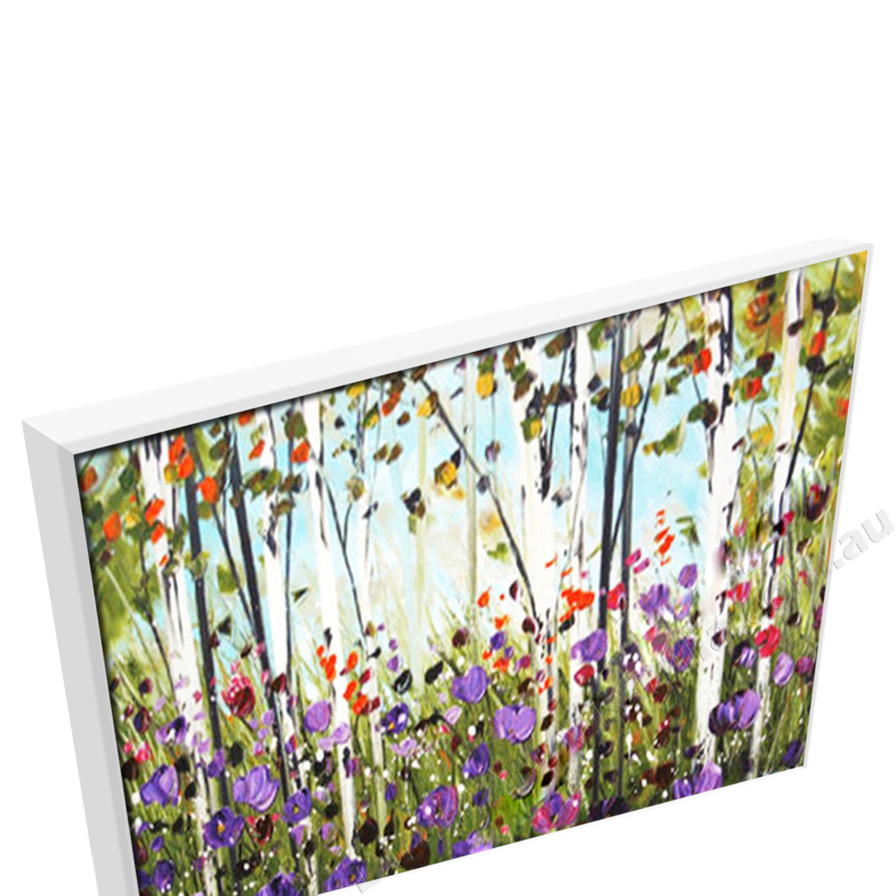 White Floating Frame